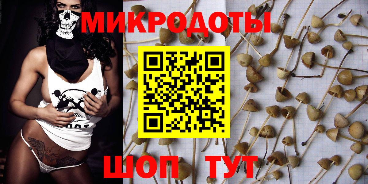 Реж  цены наркотик  Псилоцибиновые грибы Cubensis  Вход с VPN  Галлюциногенные грибы мухоморы 