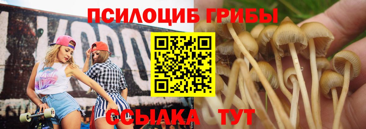 Псилоцибиновые грибы Cubensis Реж